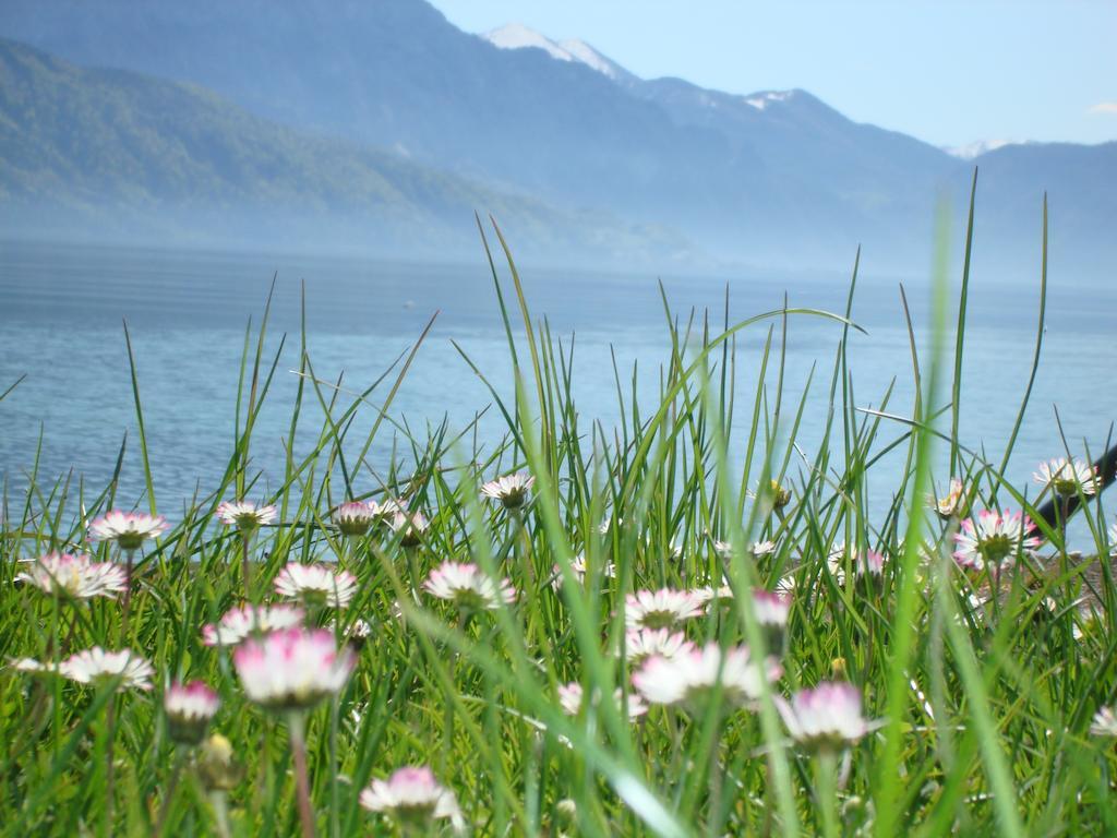 Hotel Seegasthof Oberndorfer Attersee Dış mekan fotoğraf